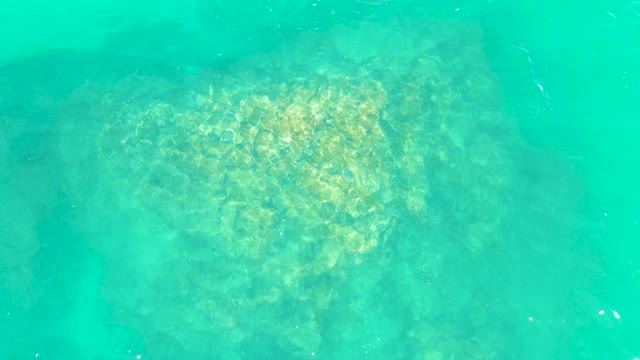 MARQUIS LOS CABOS BCS MEXICO-2021: Sea Turtle Gliding Through Clear Turquoise Water