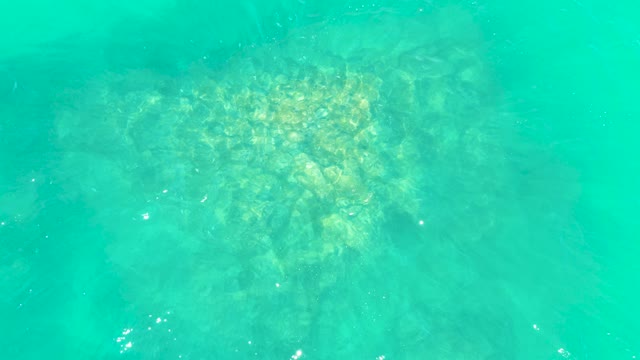 MARQUIS LOS CABOS BCS MEXICO-2021: Clear Turquoise Water Over Rocky Ocean Floor