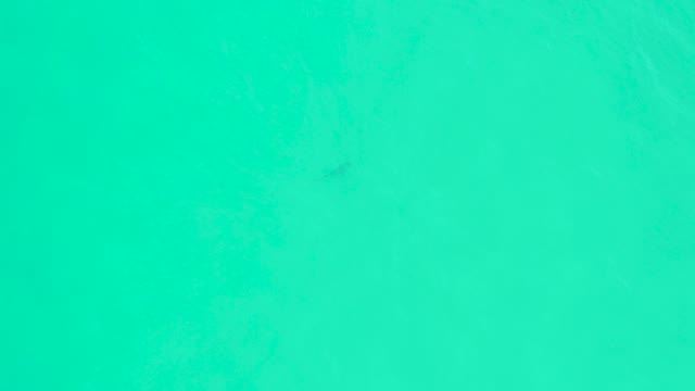 MARQUIS LOS CABOS BCS MEXICO-2021: Fish Swimming in Shallow Turquoise Water