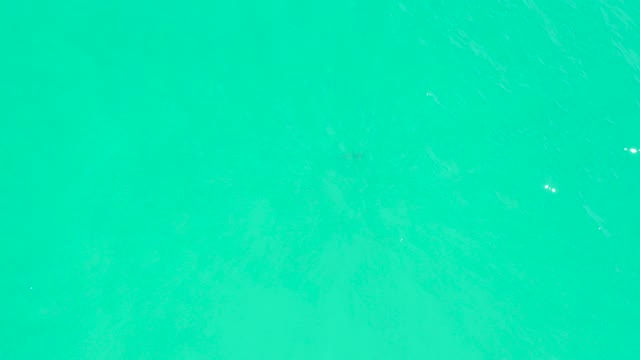 MARQUIS LOS CABOS BCS MEXICO-2021: Turquoise Ocean Water Surface with Gentle Ripples