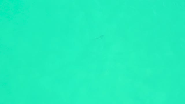 MARQUIS LOS CABOS BCS MEXICO-2021: Small Fish Swimming in Clear Turquoise Water