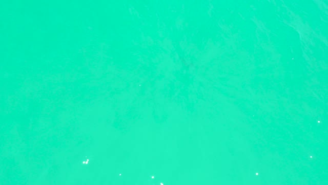 MARQUIS LOS CABOS BCS MEXICO-2021: Fish Swimming in Clear Turquoise Water