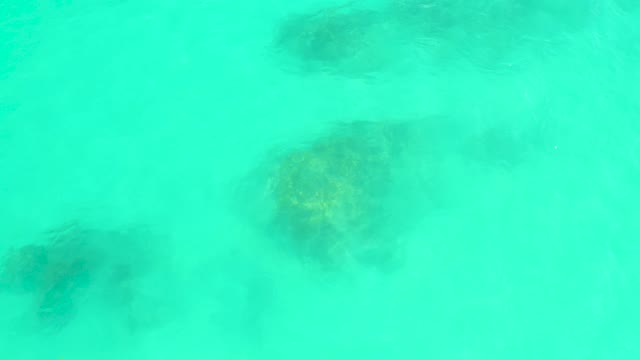 MARQUIS LOS CABOS BCS MEXICO-2021: Clear Turquoise Water Over Rocky Seabed with Gentle Motion