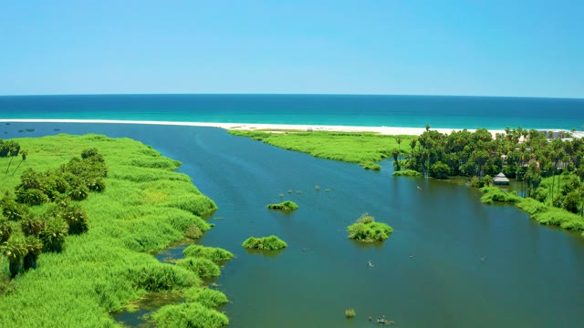 SAN JOSE DEL CABO ESTUARY BCS MEXICO-2021: River Meandering Through Lush Banks to Ocean Shore