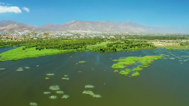 SAN JOSE DEL CABO ESTUARY BCS MEXICO-2021: Floating Greenery on Water Near Distant Land