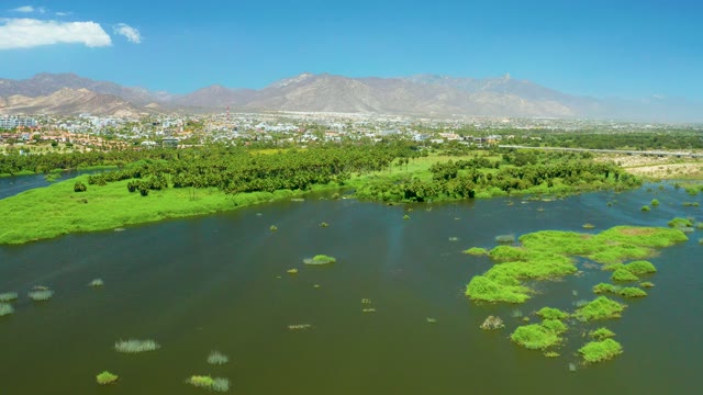 SAN JOSE DEL CABO ESTUARY BCS MEXICO-2021: Green Patches Drifting on Calm Water