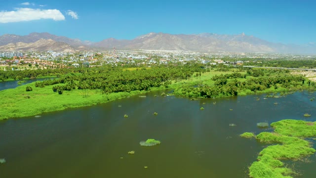 SAN JOSE DEL CABO ESTUARY BCS MEXICO-2021: River with Floating Green Plants and Distant Cityscape