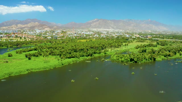 SAN JOSE DEL CABO ESTUARY BCS MEXICO-2021: River and Wetland with Floating Plants and Cityscape