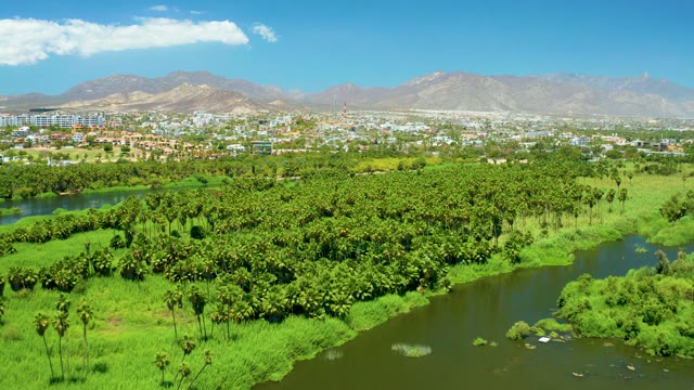 SAN JOSE DEL CABO ESTUARY BCS MEXICO-2021: River Carrying Debris Through Green Landscape