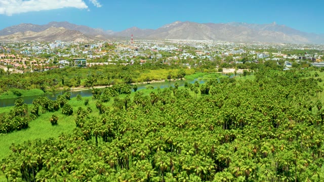 SAN JOSE DEL CABO ESTUARY BCS MEXICO-2021: Palm Groves, River, and Town with Distant Mountains