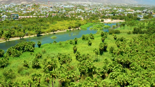 SAN JOSE DEL CABO ESTUARY BCS MEXICO-2021: Panning River and Urban Greenery Landscape