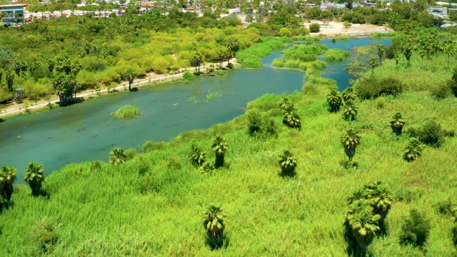 SAN JOSE DEL CABO ESTUARY BCS MEXICO-2021: Tropical River Flowing Through Lush Vegetation