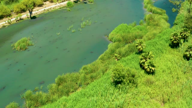 SAN JOSE DEL CABO ESTUARY BCS MEXICO-2021: Calm River with Lush Green Banks From Above