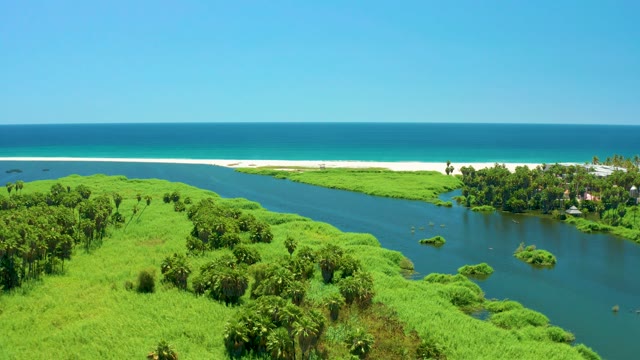 SAN JOSE DEL CABO ESTUARY BCS MEXICO-2021: River Flowing Into Ocean with Lush Green Banks