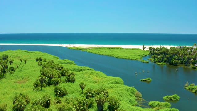 SAN JOSE DEL CABO ESTUARY BCS MEXICO-2021: Lush River Delta Flowing Into Ocean