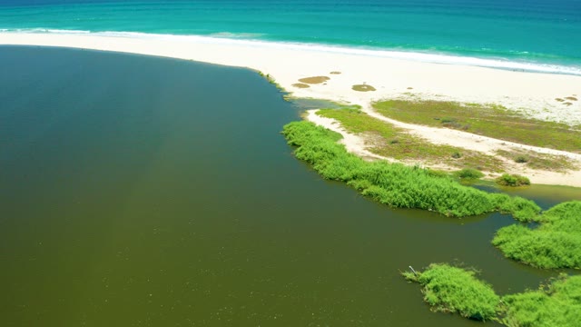 SAN JOSE DEL CABO ESTUARY BCS MEXICO-2021: Coastal River Meeting Sandy Beach