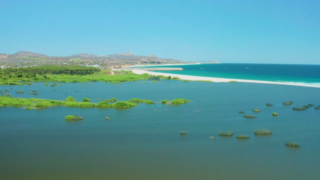 SAN JOSE DEL CABO ESTUARY BCS MEXICO-2021: Lagoon Water with Moving Buoys and Coastal Vegetation