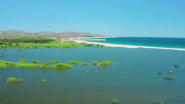 SAN JOSE DEL CABO ESTUARY BCS MEXICO-2021: Wetland Patches Drifting in Coastal Waters by Sandy Beach