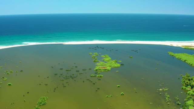 SAN JOSE DEL CABO ESTUARY BCS MEXICO-2021: Mangrove Patches in Estuary Near Ocean Beach