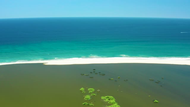 SAN JOSE DEL CABO ESTUARY BCS MEXICO-2021: Waves Breaking on Sandy Shore with Shallow Coastal Vegetation