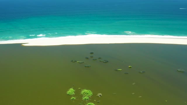 SAN JOSE DEL CABO ESTUARY BCS MEXICO-2021: Sandy Beach and Mangroves by Turquoise Ocean