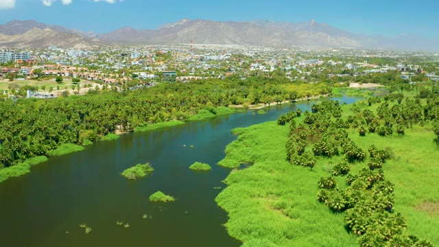SAN JOSE DEL CABO ESTUARY BCS MEXICO-2021: Lush River Banks and Distant City with Mountains