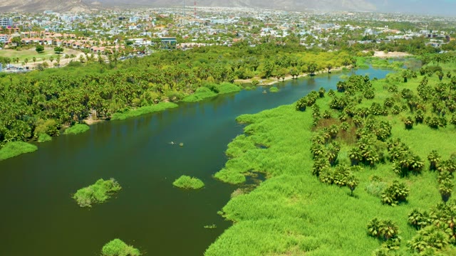 SAN JOSE DEL CABO ESTUARY BCS MEXICO-2021: Lush River Banks and Distant Cityscape
