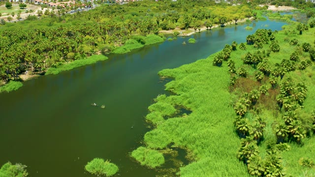 SAN JOSE DEL CABO ESTUARY BCS MEXICO-2021: Small Boats Moving Along a River with Dense Greenery