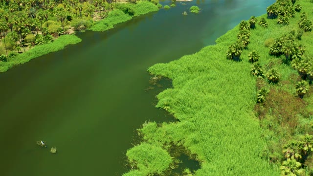 SAN JOSE DEL CABO ESTUARY BCS MEXICO-2021: Lush River Banks and Small Boat in Motion