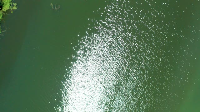 SAN JOSE DEL CABO ESTUARY BCS MEXICO-2021: Aerial View of a Lake with Floating Plants and Shore