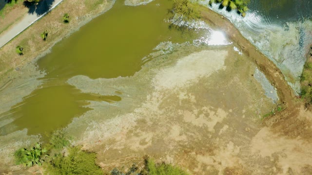 SAN JOSE DEL CABO ESTUARY BCS MEXICO-2021: Pond Overflow with Water Flow and Vegetation