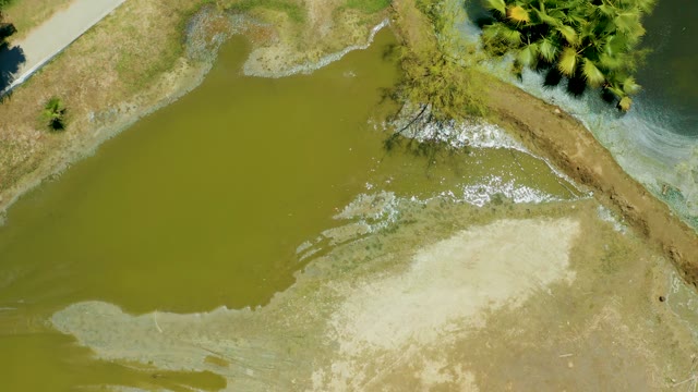 SAN JOSE DEL CABO ESTUARY BCS MEXICO-2021: Wetland Water Receding Exposes Muddy Shore