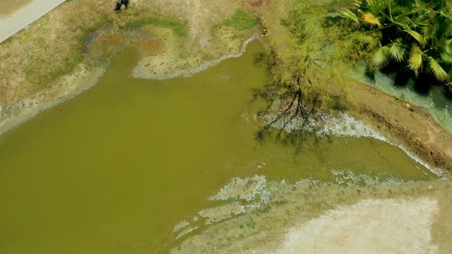 SAN JOSE DEL CABO ESTUARY BCS MEXICO-2021: Muddy Wetland Water Receding Gradually