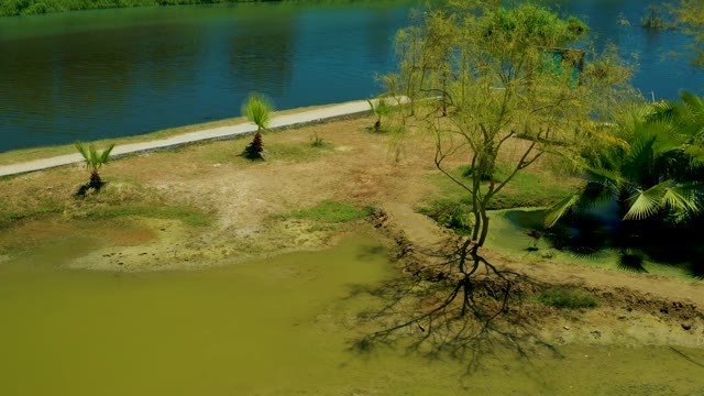SAN JOSE DEL CABO ESTUARY BCS MEXICO-2021: Receding Water Exposes Muddy Riverbank