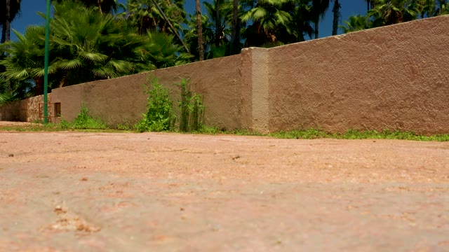 SAN JOSE DEL CABO ESTUARY BCS MEXICO-2021: Paved Path Beside Wall and Palm Trees, Low Angle