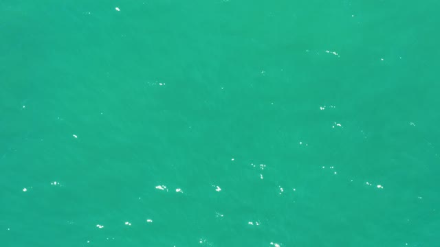 SAN JOSE DEL CABO ESTUARY BCS MEXICO-2021: Gentle Ocean Ripples with Light Reflections