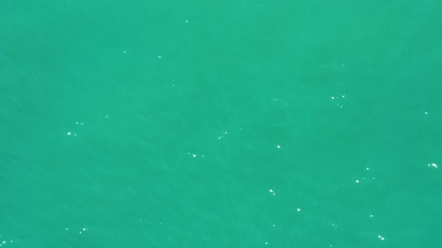 SAN JOSE DEL CABO ESTUARY BCS MEXICO-2021: Gentle Turquoise Water Ripples with Light Reflections