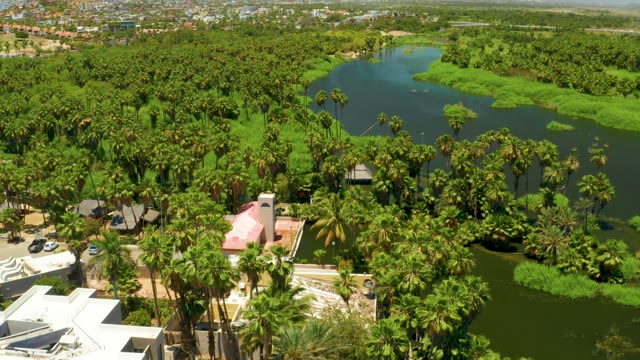SAN JOSE DEL CABO ESTUARY BCS MEXICO-2021: Palm Tree Grove and Lake in a Park