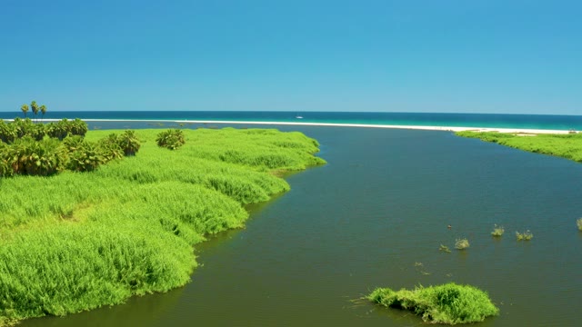 SAN JOSE DEL CABO ESTUARY BCS MEXICO-2021: Lush Vegetation Lining Coastal Waterway, Aerial View