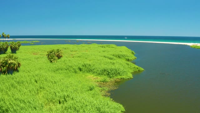 SAN JOSE DEL CABO ESTUARY BCS MEXICO-2021: Coastal River and Ocean with Lush Greenery