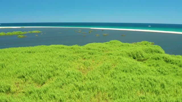 SAN JOSE DEL CABO ESTUARY BCS MEXICO-2021: Wetland Grasses and Distant Ocean Sandbar
