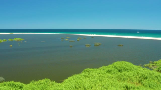 SAN JOSE DEL CABO ESTUARY BCS MEXICO-2021: Lagoon and Sandy Shore with Aquatic Vegetation