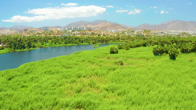SAN JOSE DEL CABO ESTUARY BCS MEXICO-2021: Panning View of River and Lush Green Field