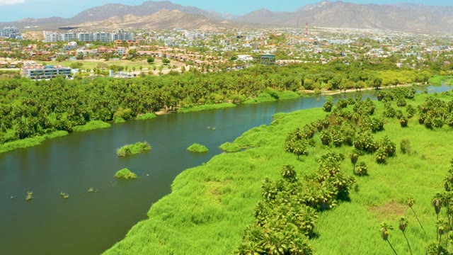 SAN JOSE DEL CABO ESTUARY BCS MEXICO-2021: River and Greenery with Shifting Urban Background