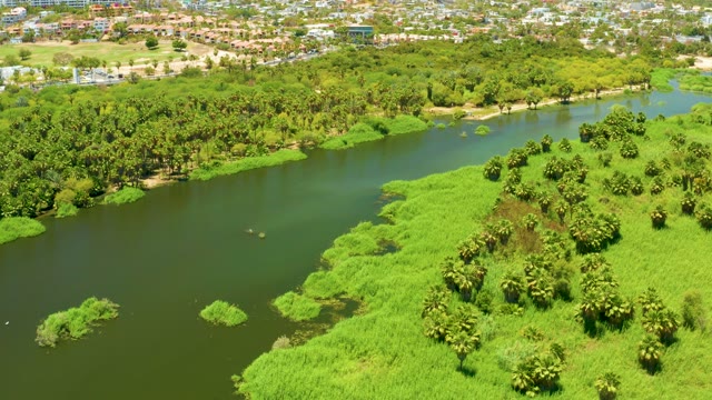 SAN JOSE DEL CABO ESTUARY BCS MEXICO-2021: Aerial Movement Along River and Lush Greenery