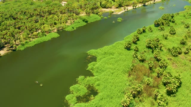 SAN JOSE DEL CABO ESTUARY BCS MEXICO-2021: River Flowing Through Lush Tropical Vegetation