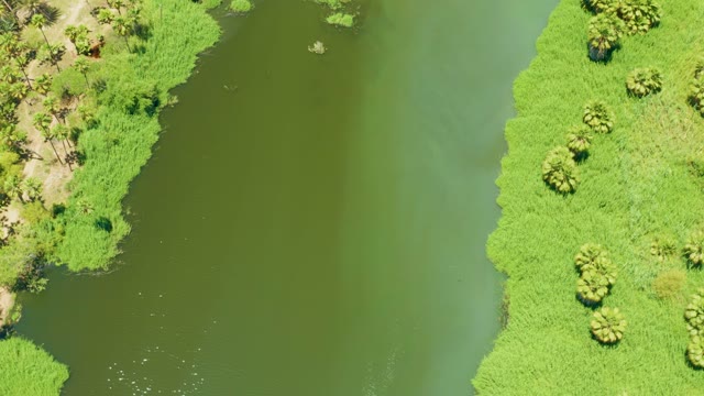SAN JOSE DEL CABO ESTUARY BCS MEXICO-2021: Lush Green River Banks From Above