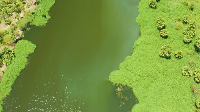 SAN JOSE DEL CABO ESTUARY BCS MEXICO-2021: Aerial Drift Over Lush Waterway and Shoreline