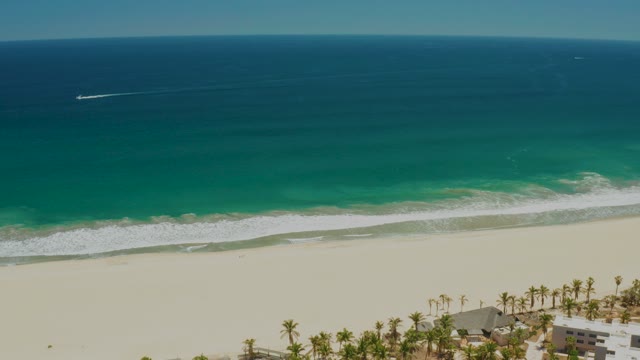 SAN JOSE DEL CABO ESTUARY BCS MEXICO-2021: Coastal Beach with Palm Trees and Ocean