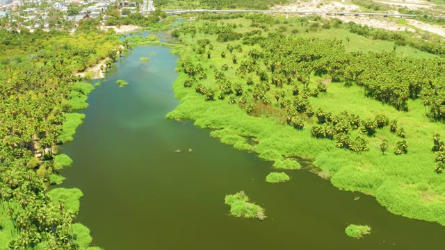 SAN JOSE DEL CABO ESTUARY BCS MEXICO-2021: River Winding Through Lush Greenery